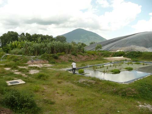 Stormwater treatment wetlands