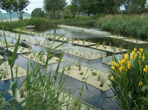 Floating islands