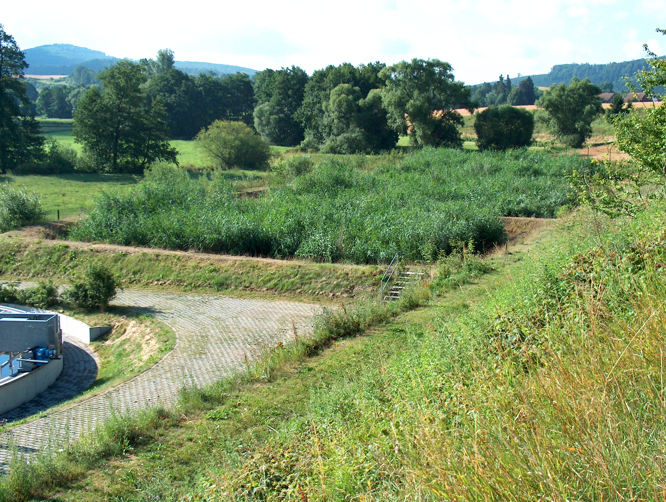 Reed bed sewage sludge treatment